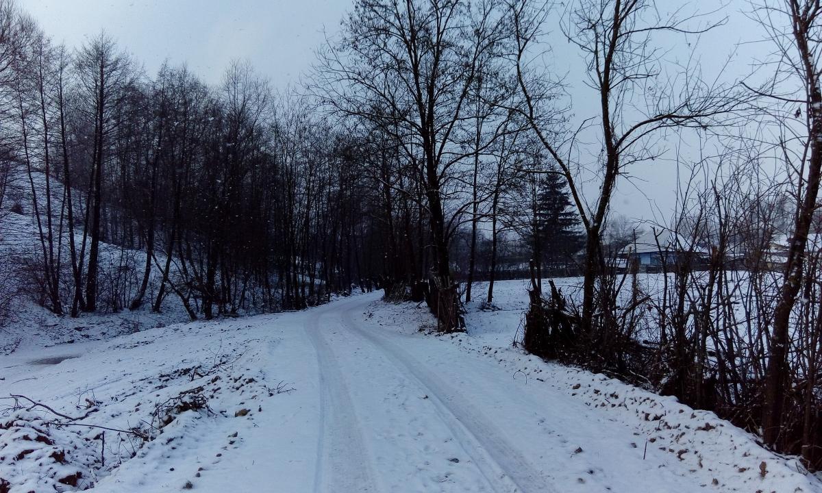 Peisaj de iarnă-Pârâu Măstăcănoasa